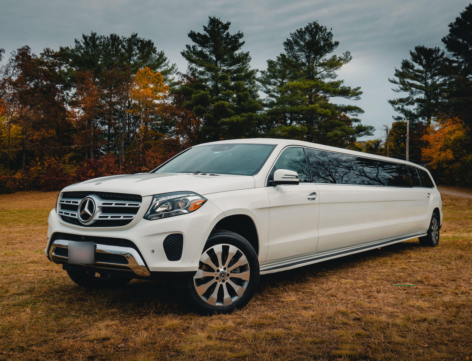 White Mercedes GLS stretch limousine in an autumn field