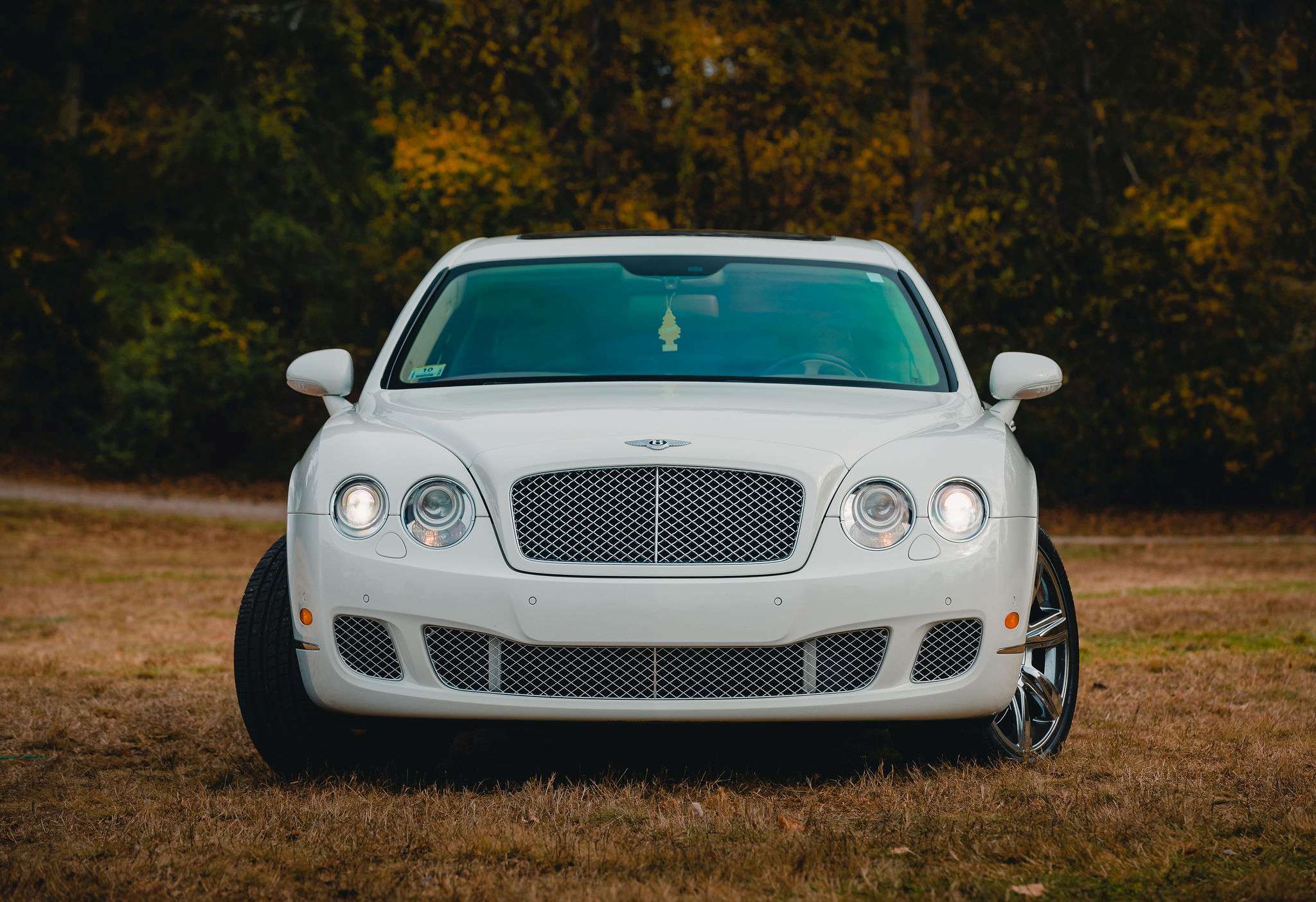 White Bentley sedan, front view, parked on grass with autumn trees behind