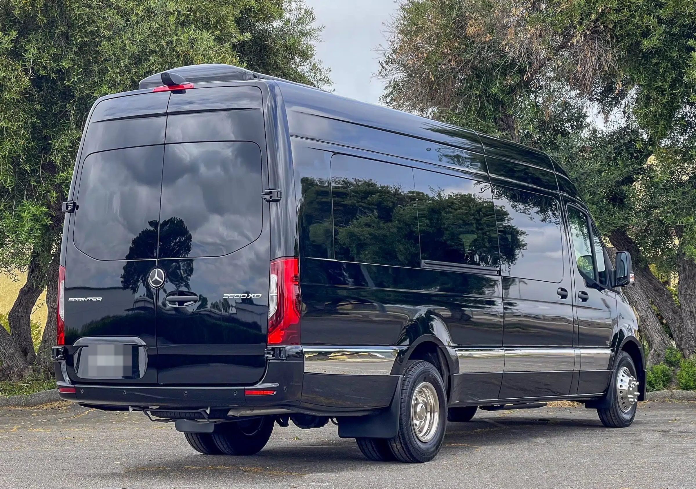 Black Mercedes-Benz Sprinter van, rear three-quarter view, parked under trees