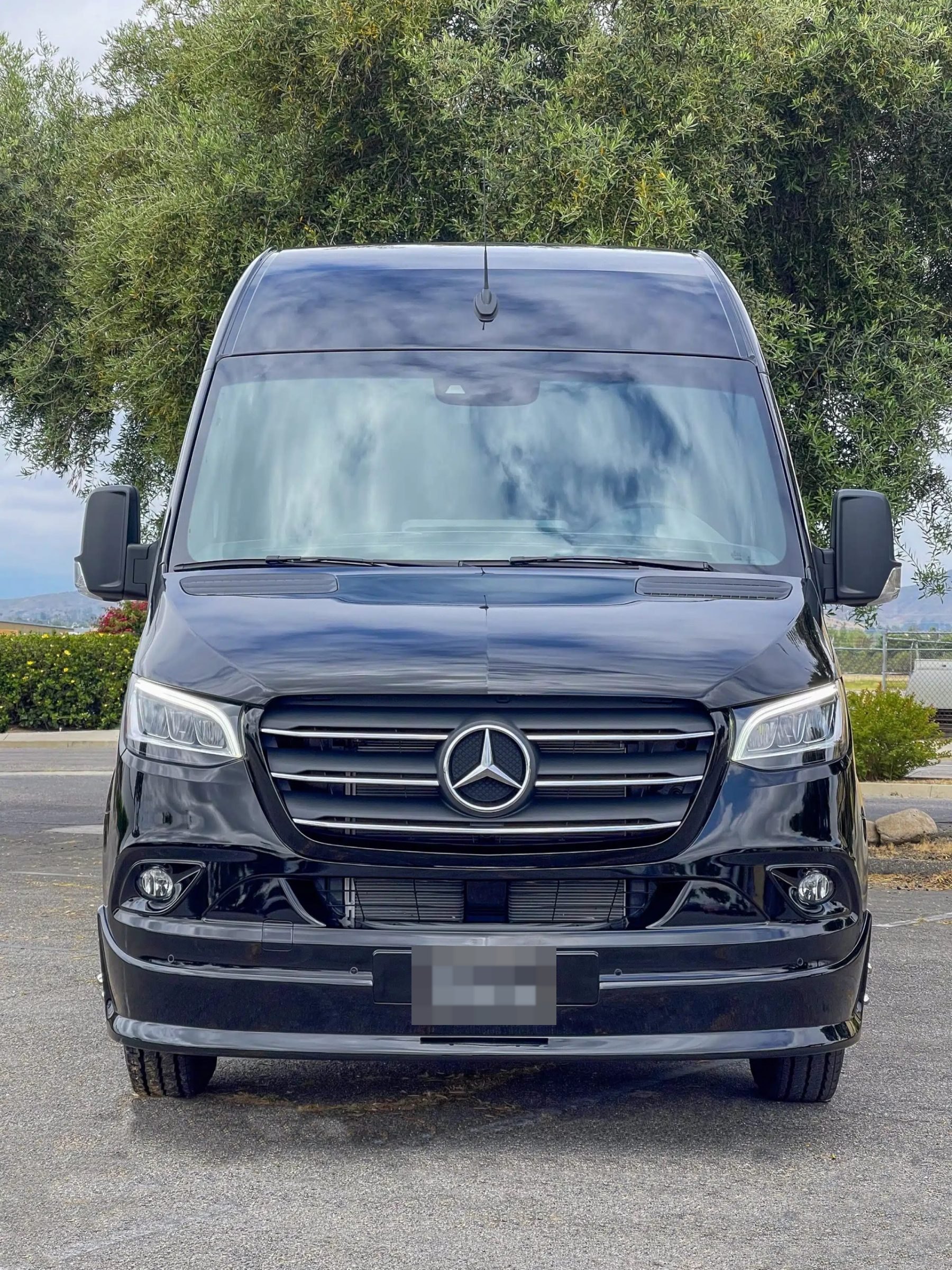 Black Mercedes-Benz Sprinter van, front view, parked under a tree