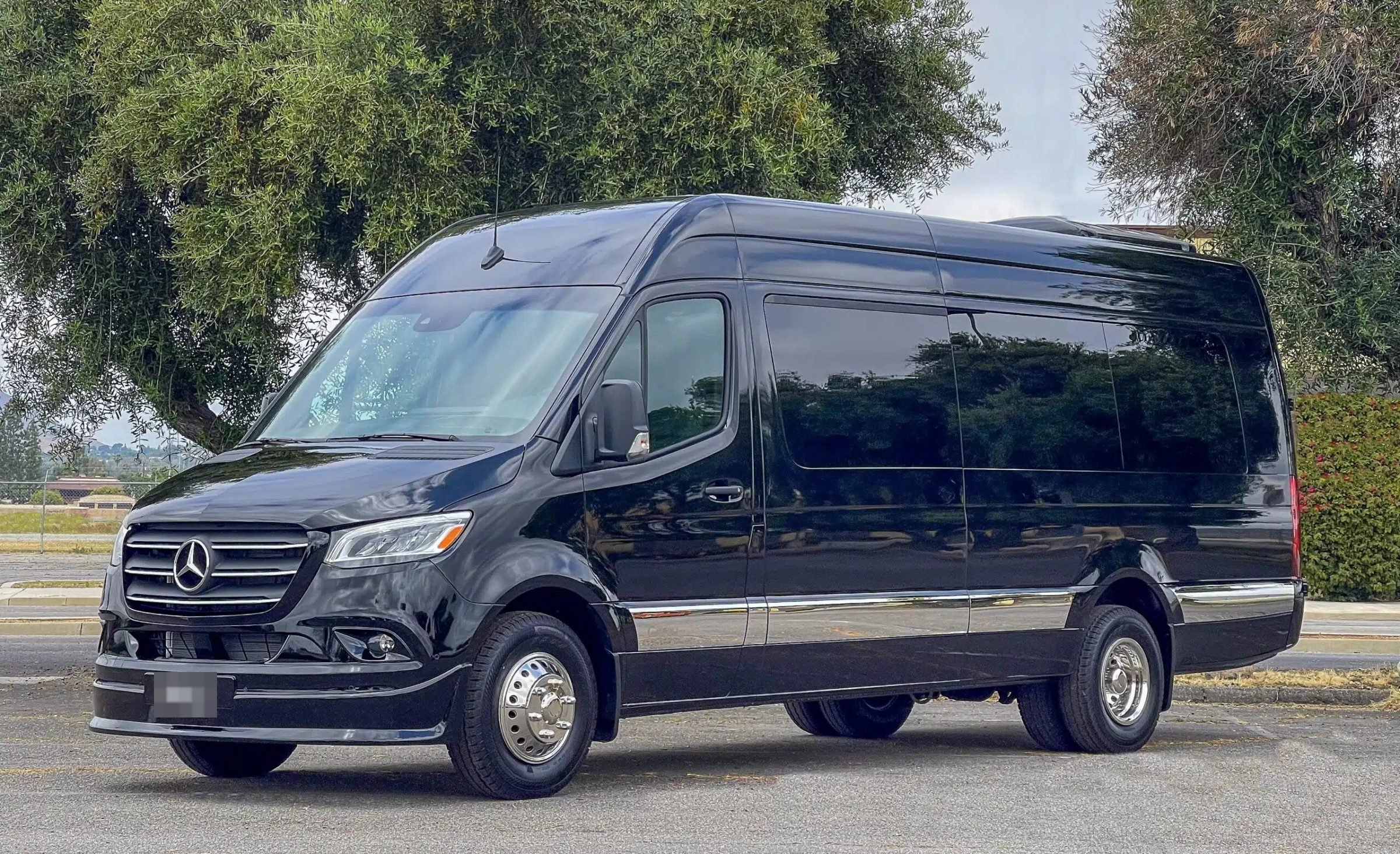 Black Mercedes-Benz Sprinter van with tinted windows parked outdoors