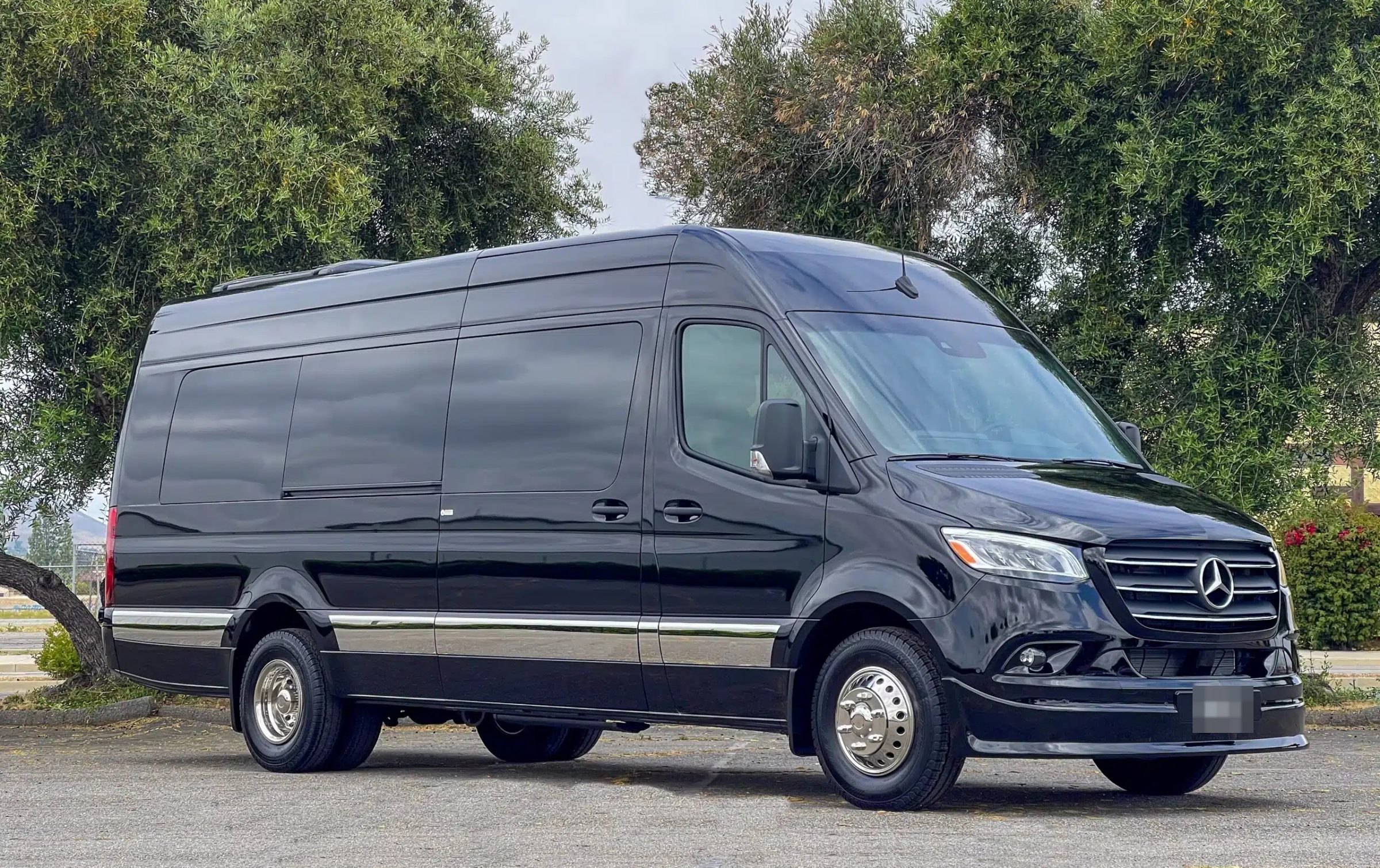 Black Mercedes-Benz Sprinter van, front three-quarter view, parked under trees