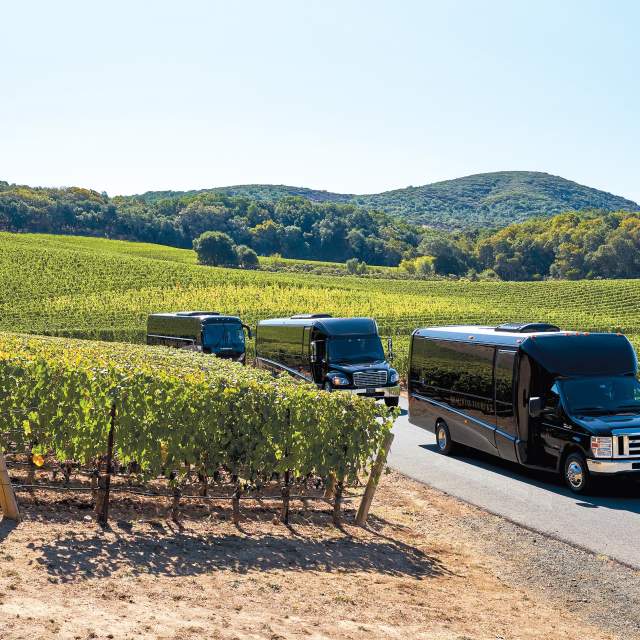 Three black limo buses on a road through a hillside vineyard
