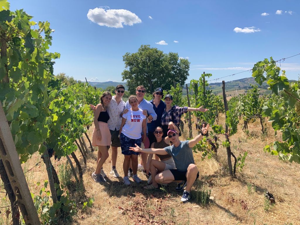 Group of friends posing among grapevines on a sunny hillside