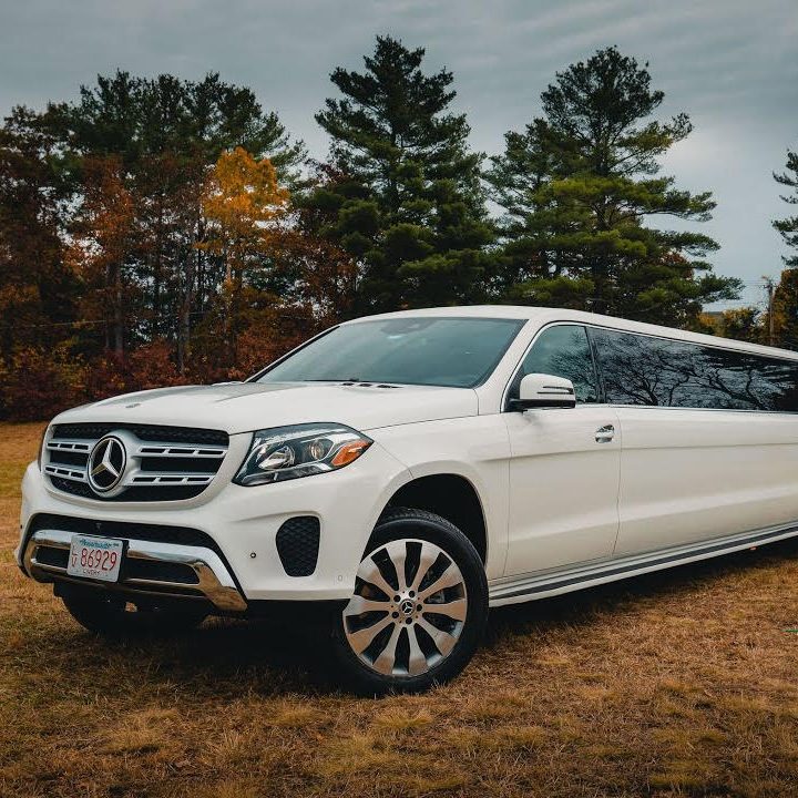 White Mercedes-Benz stretch SUV limousine parked on grass with autumn trees behind