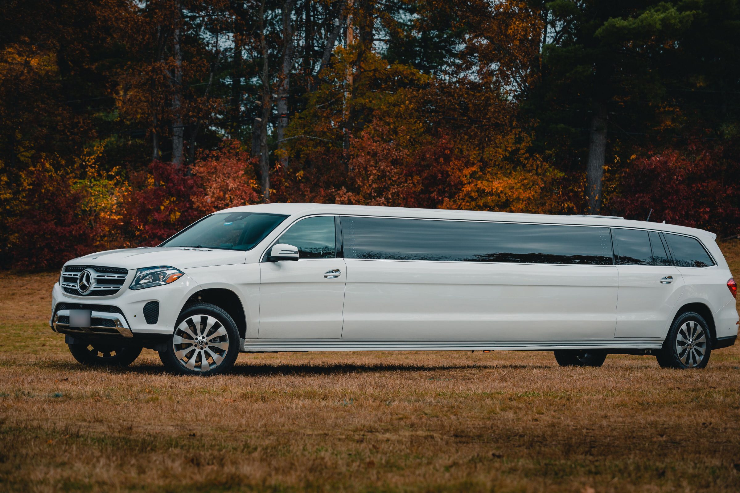 White Mercedes GLS stretch limousine, side view