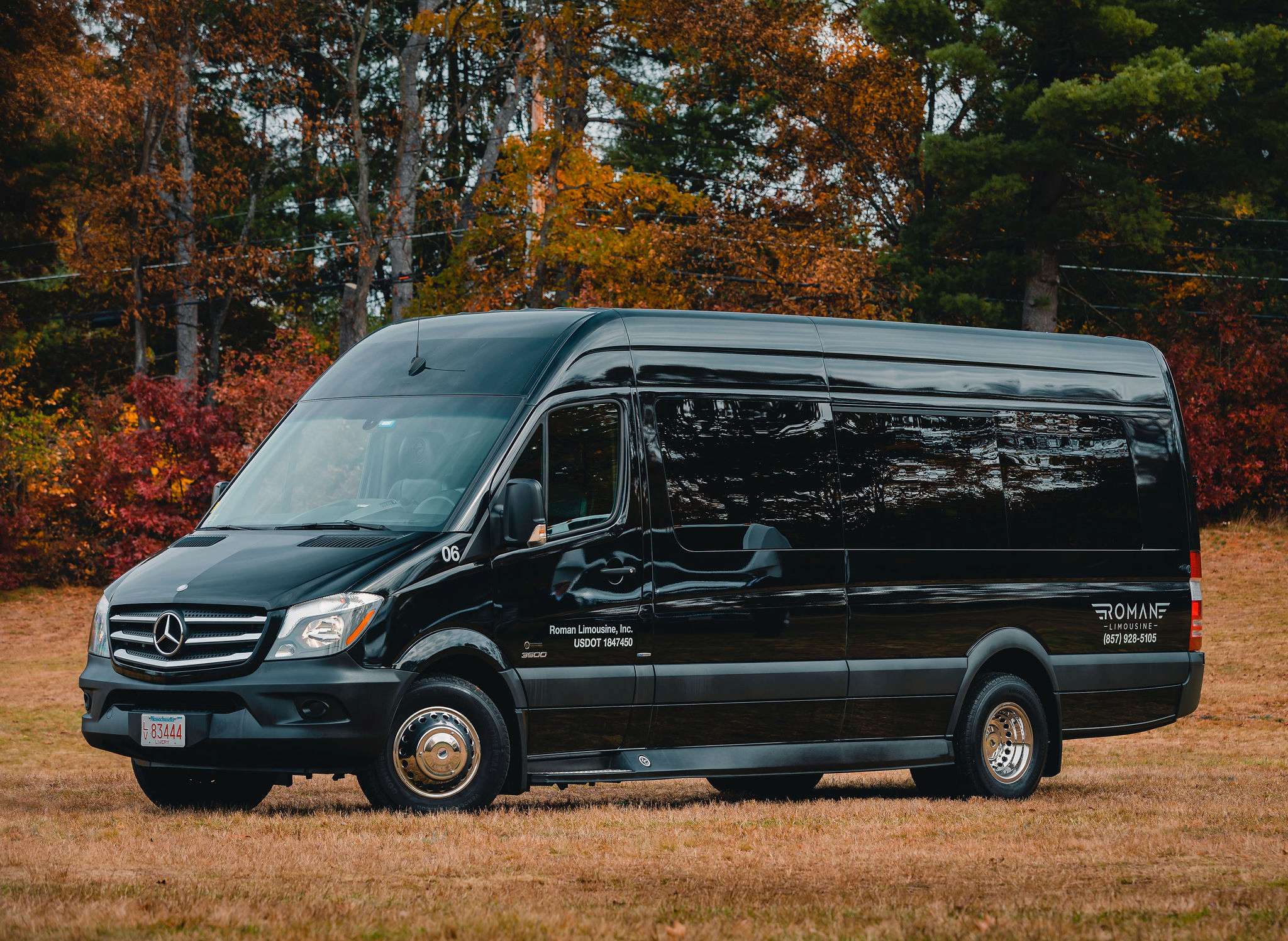 Mercedes Sprinter Limo Bus